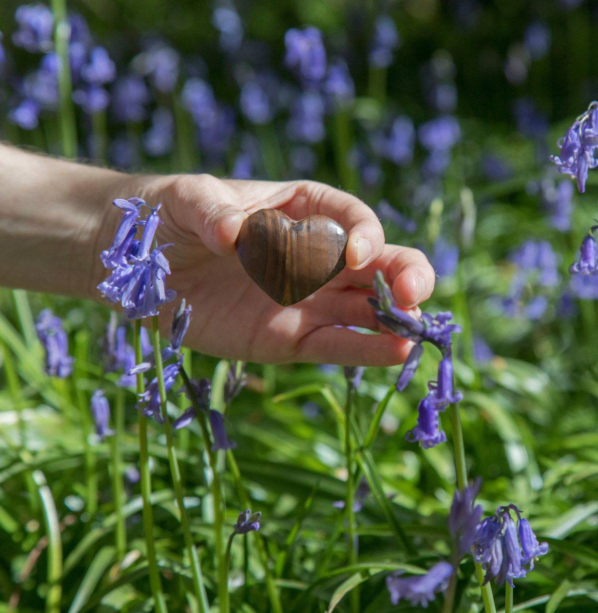 heart shaped stone by bluebells