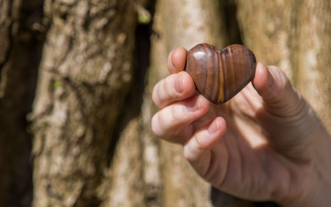 Hand holding heart shaped stone in woods